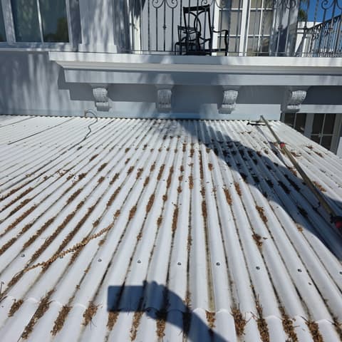 A corrugated metal awning before cleaning, leaf litter and dirt along every ridge