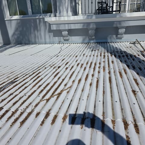 A corrugated metal roof before cleaning, leaves and grit caught in the ridges