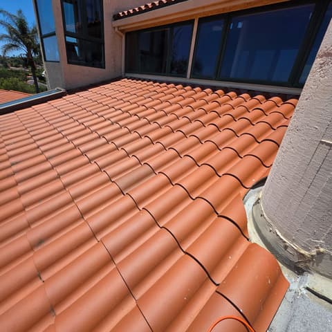 A clay-tile roof after soft washing, looking along the tiles toward a window bay