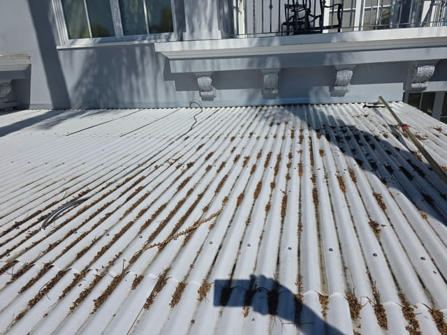 Pressure Washing: What Gets Wrecked When It's Done Wrong