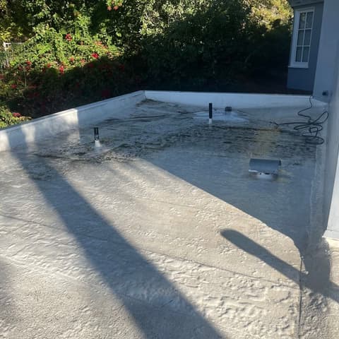 A flat roof after cleaning, bright white against the surrounding trees